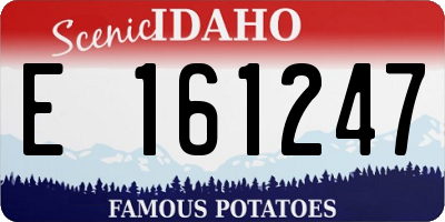 ID license plate E161247
