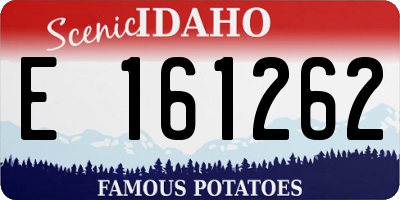 ID license plate E161262