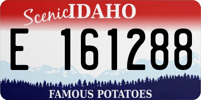 ID license plate E161288