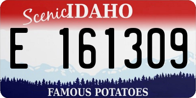 ID license plate E161309