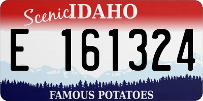ID license plate E161324