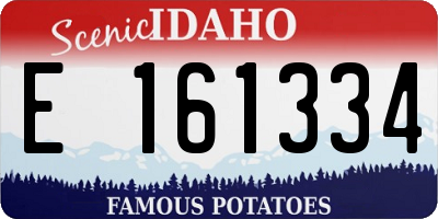ID license plate E161334