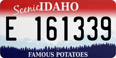 ID license plate E161339