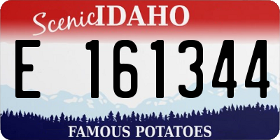 ID license plate E161344