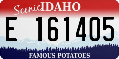 ID license plate E161405