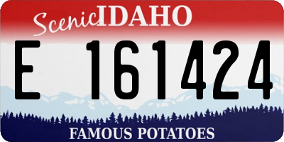 ID license plate E161424