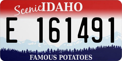 ID license plate E161491