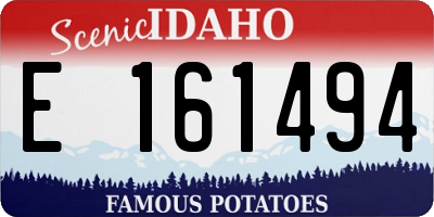 ID license plate E161494