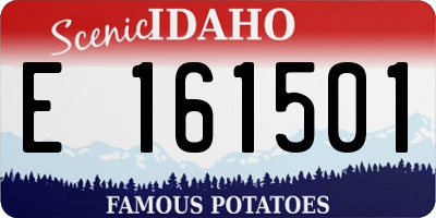 ID license plate E161501