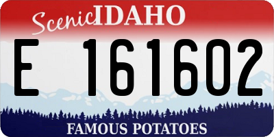 ID license plate E161602