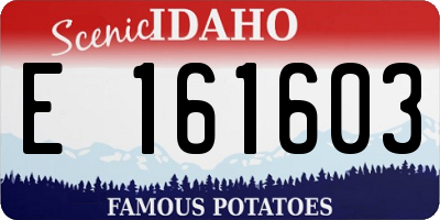 ID license plate E161603