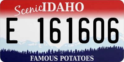 ID license plate E161606