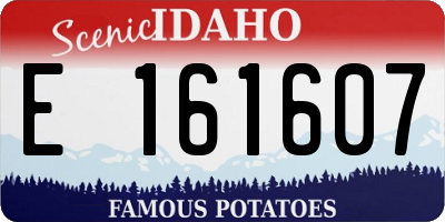 ID license plate E161607