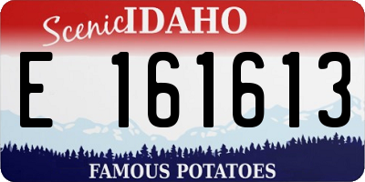 ID license plate E161613