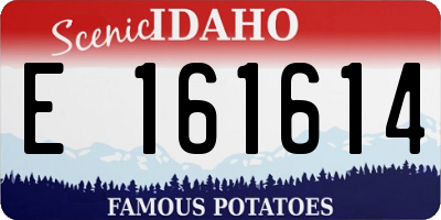 ID license plate E161614