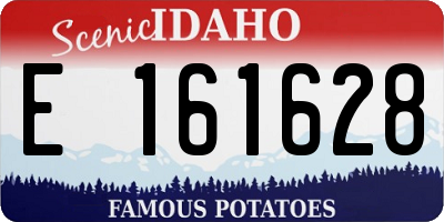ID license plate E161628