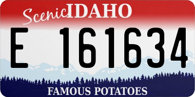 ID license plate E161634