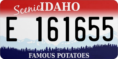 ID license plate E161655