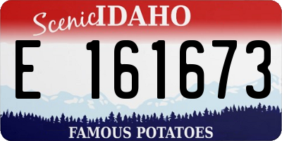 ID license plate E161673