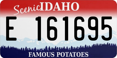 ID license plate E161695