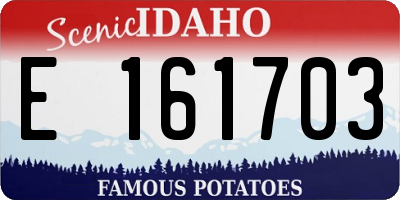 ID license plate E161703
