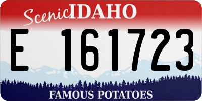 ID license plate E161723