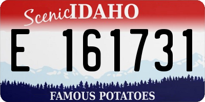 ID license plate E161731