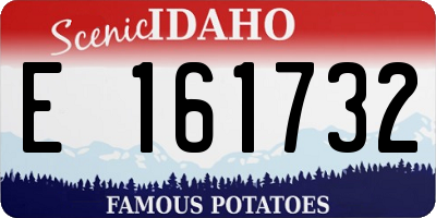 ID license plate E161732