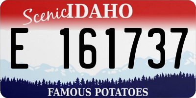 ID license plate E161737