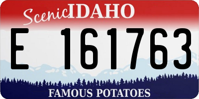ID license plate E161763