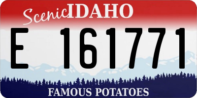 ID license plate E161771