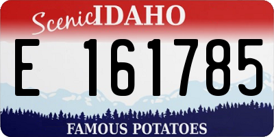 ID license plate E161785