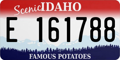 ID license plate E161788