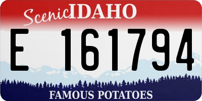 ID license plate E161794