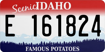 ID license plate E161824