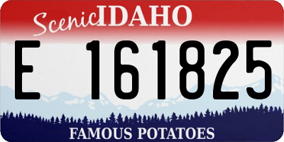 ID license plate E161825