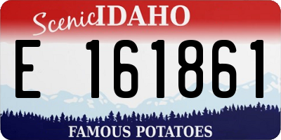 ID license plate E161861