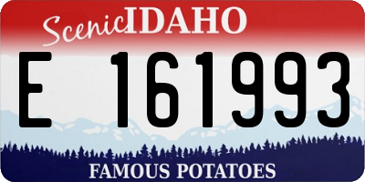 ID license plate E161993