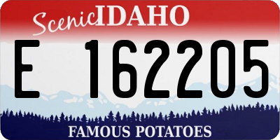 ID license plate E162205