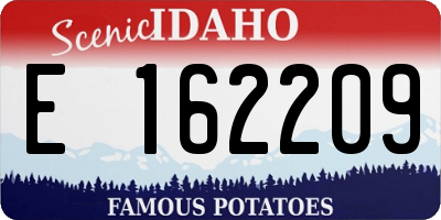 ID license plate E162209