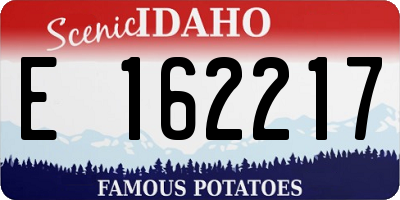 ID license plate E162217