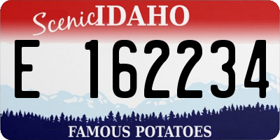 ID license plate E162234