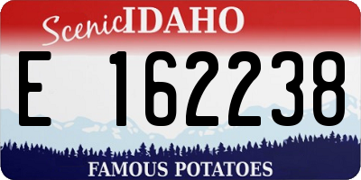 ID license plate E162238
