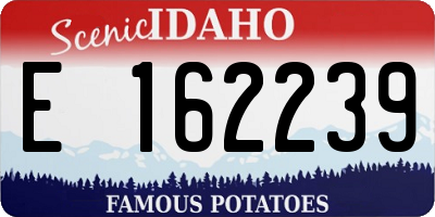ID license plate E162239
