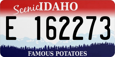 ID license plate E162273