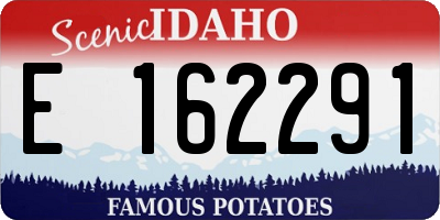 ID license plate E162291