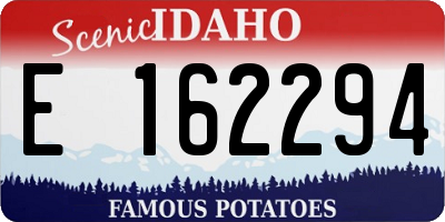 ID license plate E162294