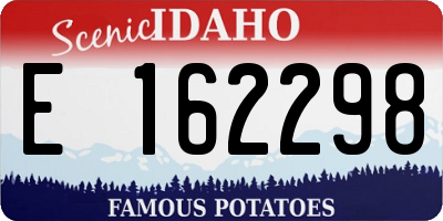 ID license plate E162298