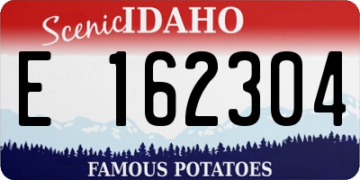 ID license plate E162304