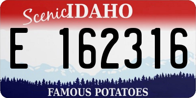 ID license plate E162316
